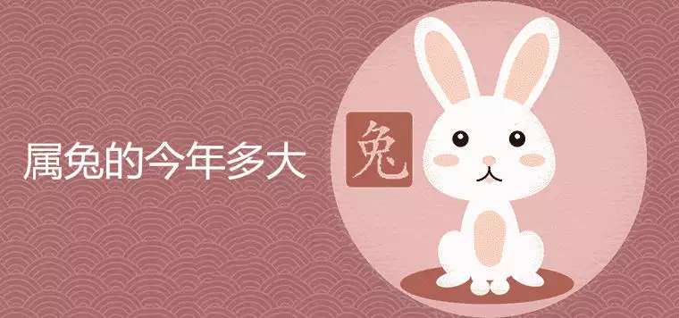 5、46歲屬兔女的婚外情:男屬兔女屬雞能當婚外情嗎?
