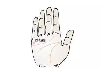 5、手掌哪條是婚姻線:婚姻線是手掌上哪一條線啊