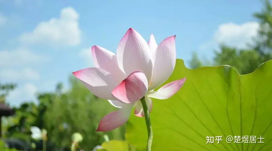 3、八字格局高低打分:請問什麼是八字格局？怎樣看格局高低呢？