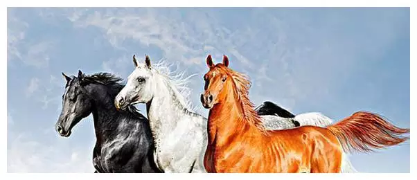3、婚配生肖猴男馬女合適嗎:男女屬相婚配，男馬女猴的婚配怎麼樣