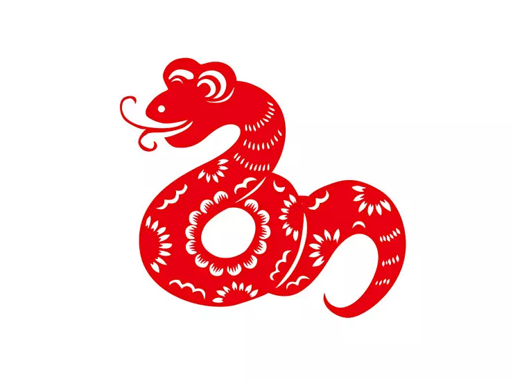 一家能有兩條龍屬相嗎：一家兩個屬龍的一個屬馬的再有一個是什麼屬相好