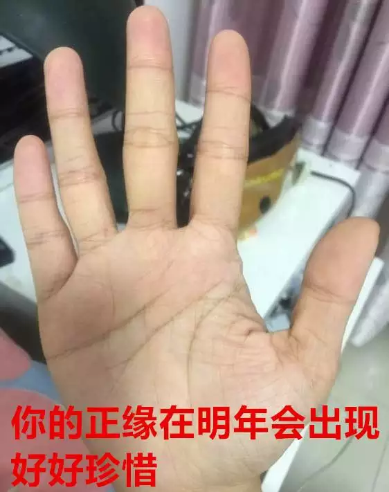 算算我命里有幾個兒女手相：有沒有看手相，看看我有沒有子女線？一生有幾個寶寶