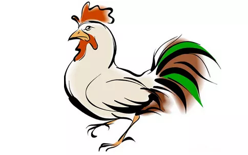 十二生肖屬相與犯太歲：幾個屬相犯太歲？戴什麼飾物？