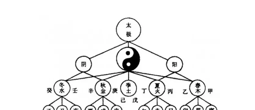 8、女是石榴木男是土命婚配好不:木命和土命婚配好嗎