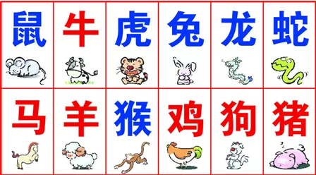 鼠寶寶相衝屬相是什麼：鼠寶寶應該認什麼屬相的乾爸不犯沖