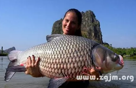 女人夢見一條大魚是什麼意思：女人夢見魚是什麼徵兆
