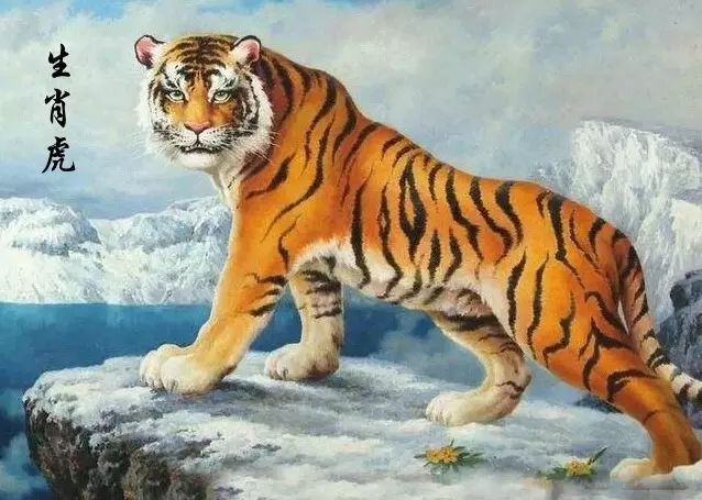 出生年屬什麼生肖：年出生是什麼命