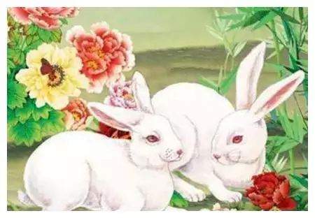 5、屬兔的一生有幾個情人:屬兔女一生有幾次婚姻