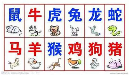 2、69年屬狗的屬相婚配表:屬狗的屬相婚配表