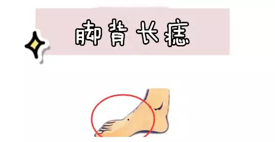 一年四季苦奔波是什麼屬相：十二生肖誰最喜歡四處奔波