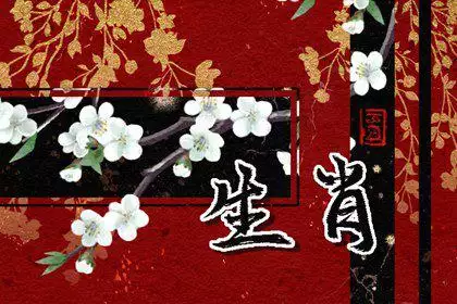 2、年必定生女孩的生肖:年哪些生肖合適生孩子