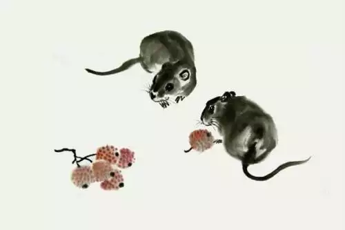 屬鼠的人下午5點到7點出生的命運怎麼樣?