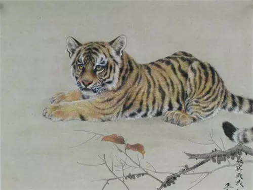 86年屬虎女的最佳配偶：1986年屬虎和什麼屬相最配