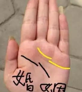 1、婚姻線斷了代表什麼:這三條線都代表什麼啊 那條斷了的是婚姻線嗎？