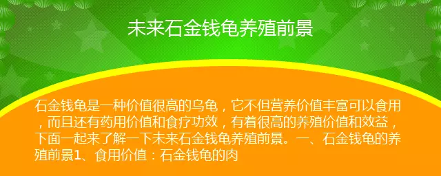 1、年石龜前景:關於石金錢龜的生活習慣