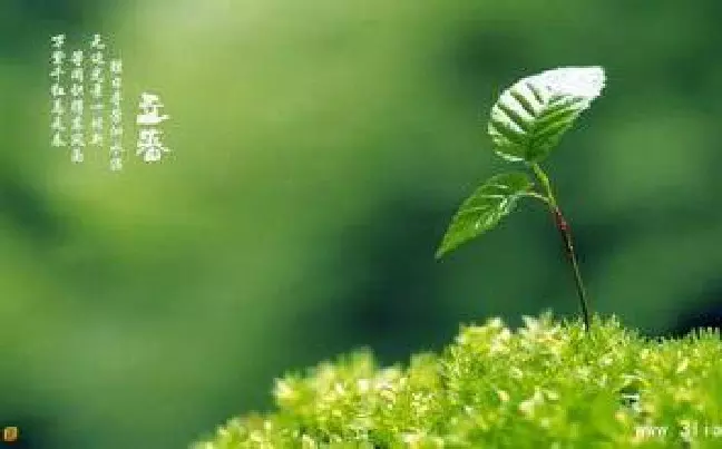 2月3號立春那些屬相相剋：為什麼年2月3號立春時間要不在子時？