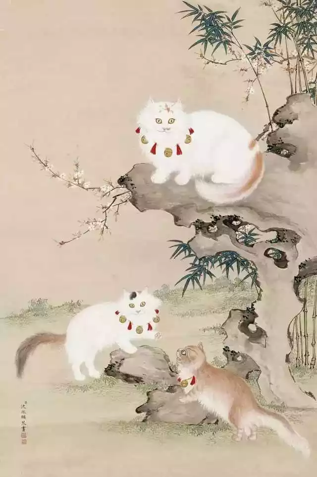 靜似動若瘋子的屬相：靜似，動若瘋子，一驚一喜的生肖？？是什麼