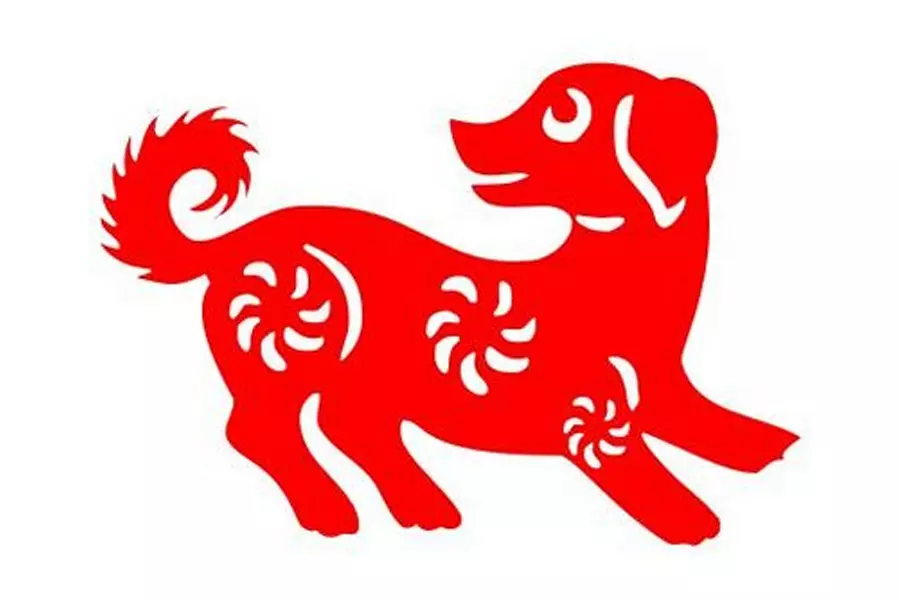 2、屬相婚配雞與狗:狗和雞屬相合適嗎？