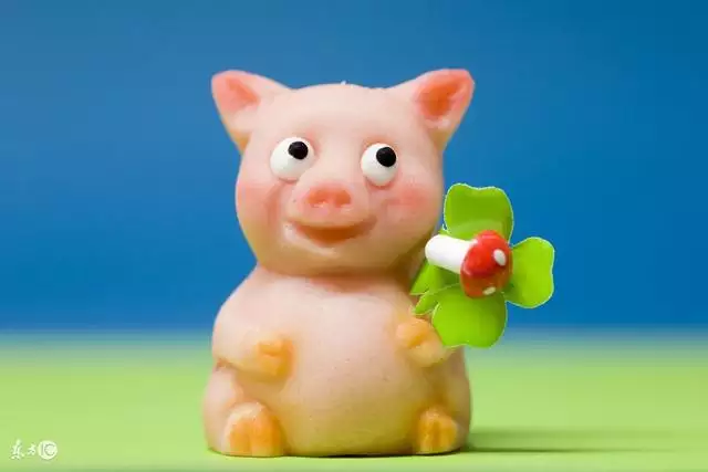屬豬什麼命運：屬豬農曆十二月上午十點半生。今年32歲。命如何