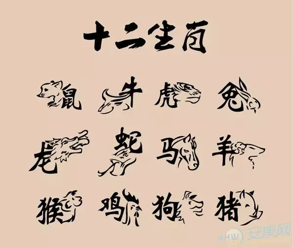 3、男兔龍屬相婚配的利弊:男兔女龍婚配欠好嗎?