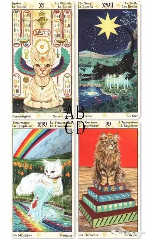 4、塔羅牌占卜懷孕生子:塔羅牌算懷孕生子