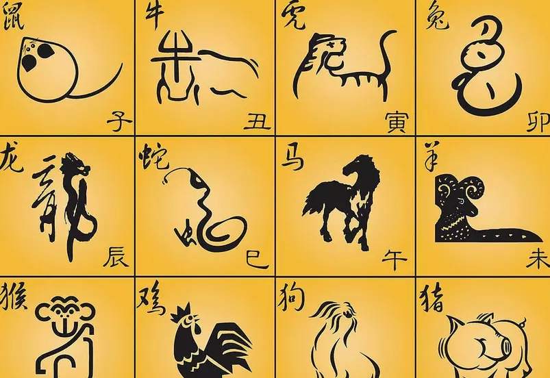 9、25樓適合什麼屬相:從風水角度看屬羊79年生人太陽火命買樓買幾層好東戶還是西戶