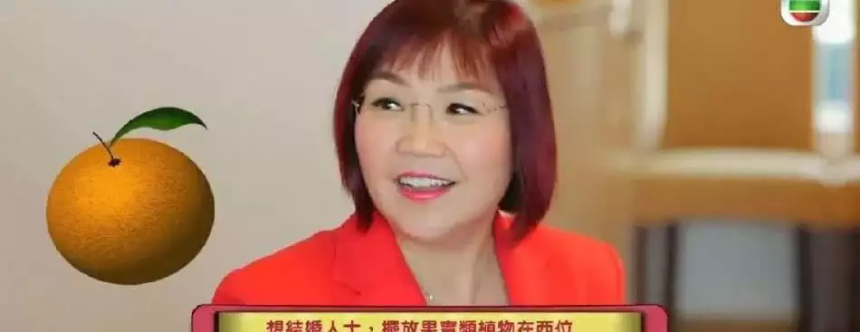 1、麥玲玲年屬兔運程:虎人全年運勢麥玲玲
