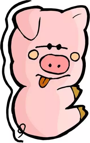 屬豬男跟啥屬相合不合：屬豬和什麼不合