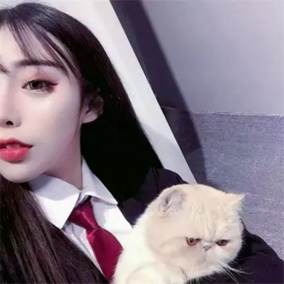 大氣又低調的名字微信昵稱女：微信名稱大全女高雅的女王
