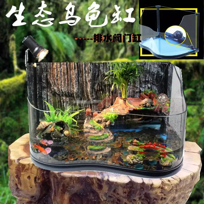 烏龜缸可以放在窗台上養嗎：家養烏龜放在陽台上風水好嘛