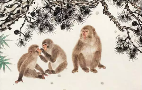 3、屬猴的和屬猴的婚配好不好呢:屬猴和屬猴的能婚配嗎