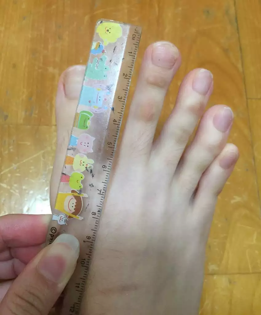 哪個屬相只有一個腳趾：12生肖哪個一共有10個腳趾頭