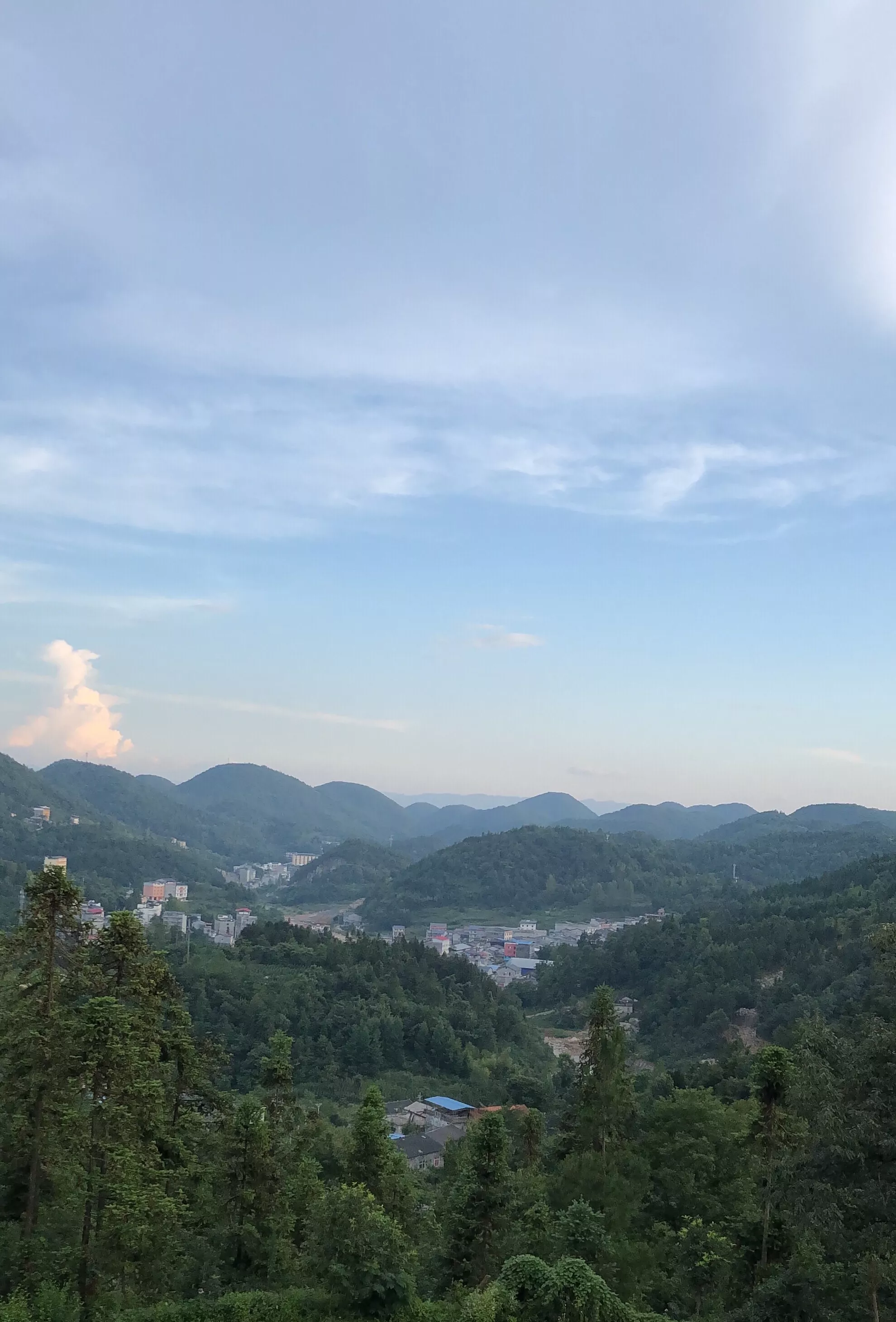 年是什麼屬相：今年是什麼屬相的年啊，最近出生的人屬相是什麼啊？