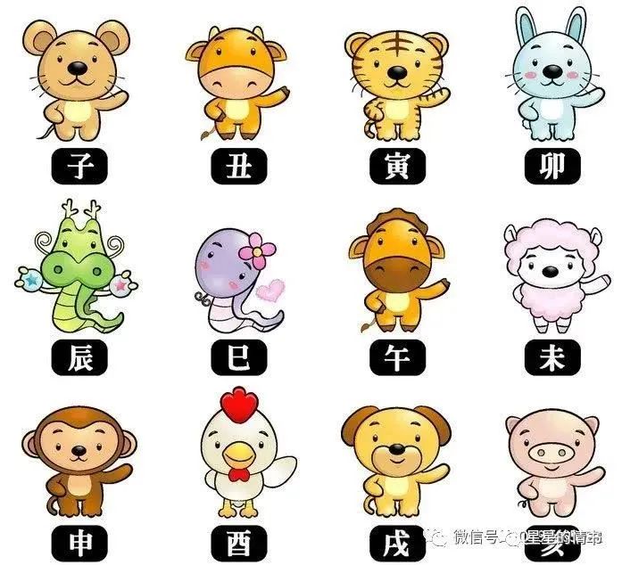 2、后九運生肖:十二生肖數什麼全部全部排序