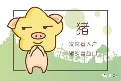 2、95年屬豬26歲命運女:年是什麼命？年出生的屬豬人的命運
