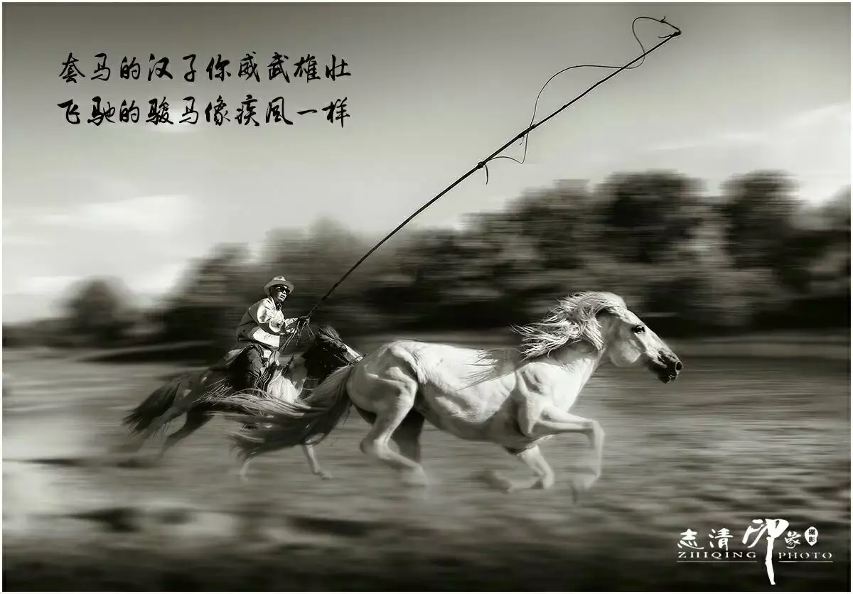 3、二月馬與六月的馬婚配:年男2月的馬跟女6月的豬合婚嗎?