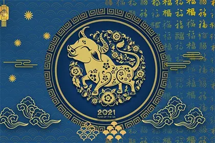 年出生屬什麼的和什麼屬相合適有這個年令段的女士嗎怎麼聯繫到謝謝