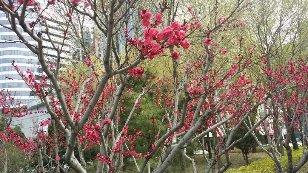 7、新浪婚姻樹免費測試:易奇八字婚姻樹那個樹榦測試的未來對象准嗎