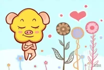 2、年屬豬的人運勢:年屬豬的全年運程