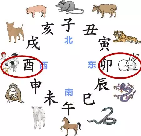 3、87屬兔男和93屬八字婚配:87年屬兔的和93年屬雞的婚姻怎麼樣?