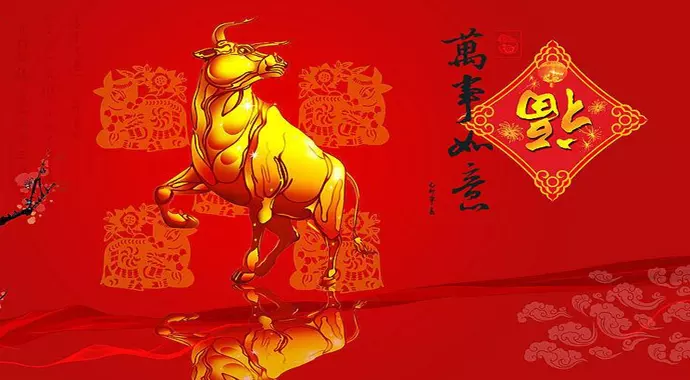4、屬虎的人在牛年的運氣怎麼樣:今年是牛年虎在今年的運勢怎麼樣？