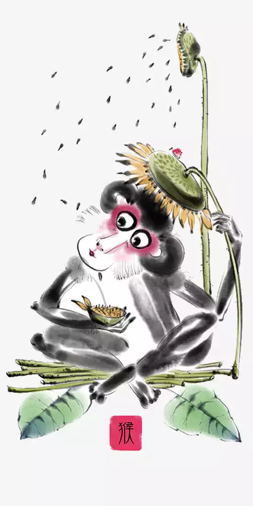 屬相猴早上出生怎麼樣：屬猴幾點出生最好的