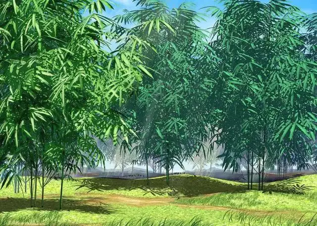 萬年古木又逢春的屬相：枯木逢春是什麼生肖