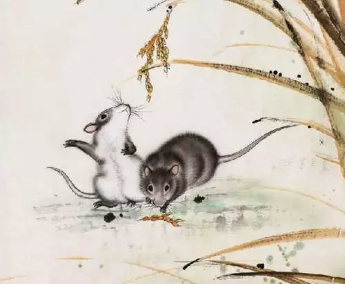 年正月出生的鼠是什麼命：年的鼠是什麼命