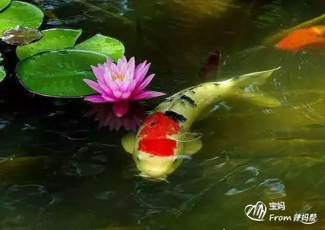 2、怎麼提升財運和好運:快速小方法