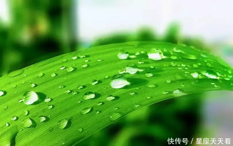 7、屬兔水命的做什麼生意最旺:屬兔的人不能和什麼屬相做生意