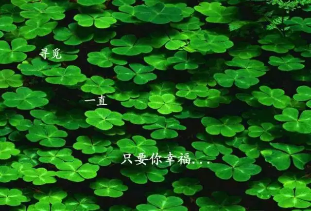 2、怎麼樣才能讓運氣變好:打牌老輸最靈轉運方法
