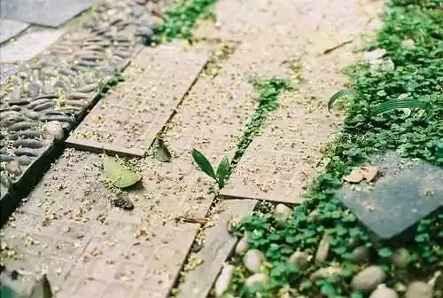 姓安的男孩名字分：分帶浩字的覃姓男孩名字