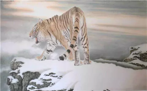 2、屬虎的適合做什麼生意比較好:屬虎的今年做什麼生意好?運程怎樣?