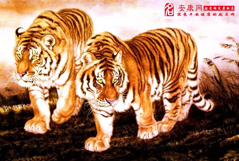 1、屬虎的今年每月運勢:屬虎人年每月運勢